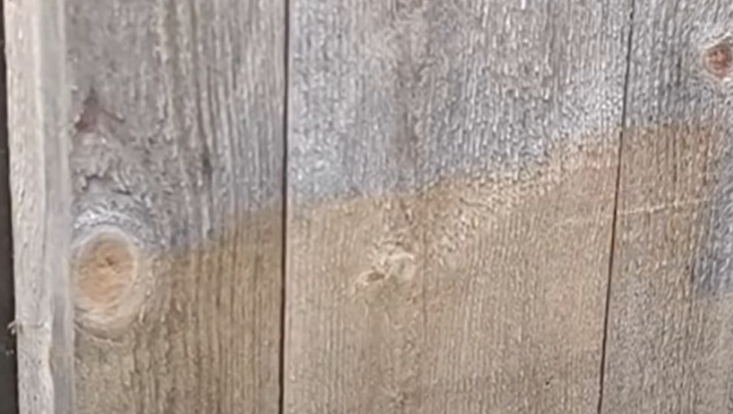 laser cleaning - raw timber
